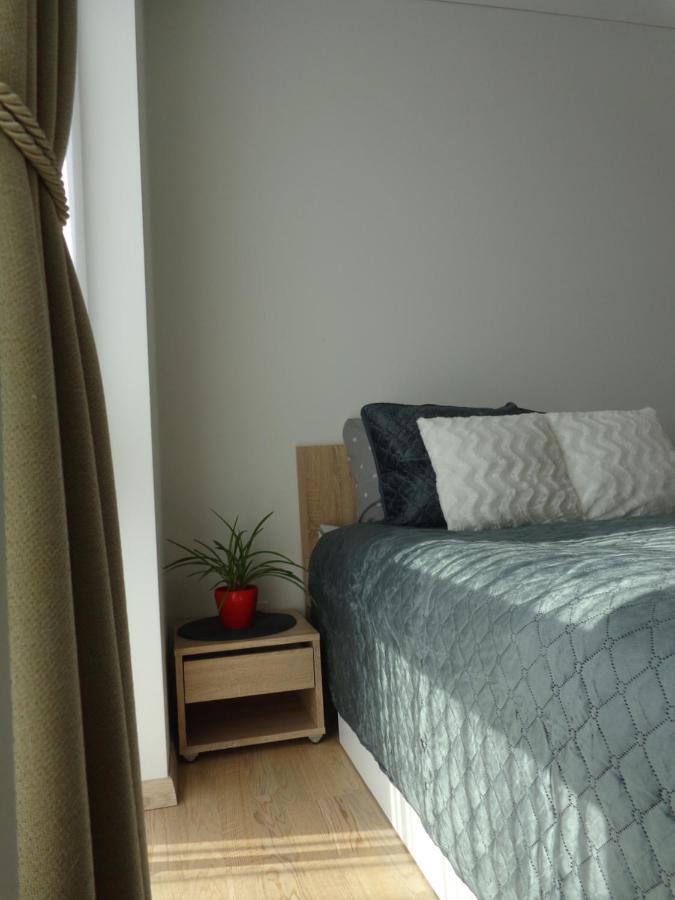 Elzbietos Centro Apartamentai VNO Kültér fotó