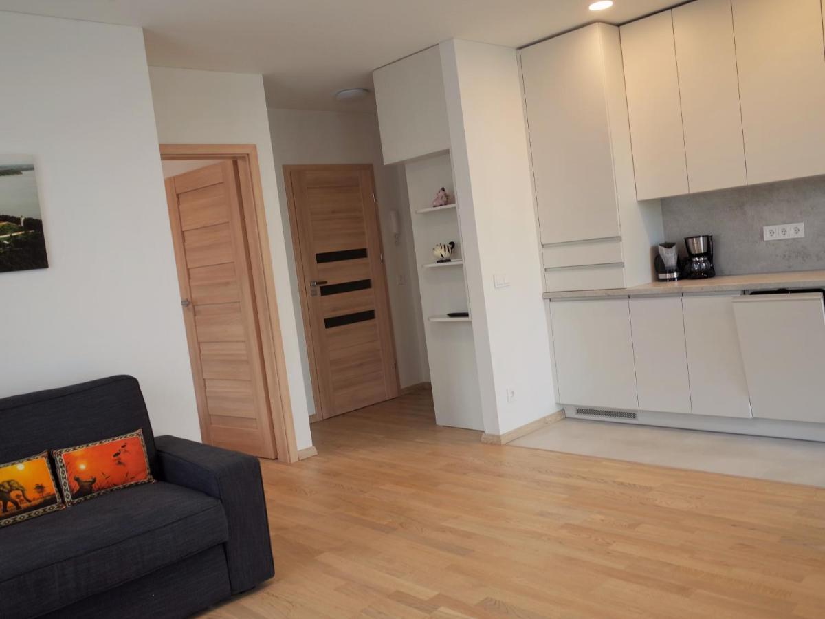 Elzbietos Centro Apartamentai VNO Kültér fotó