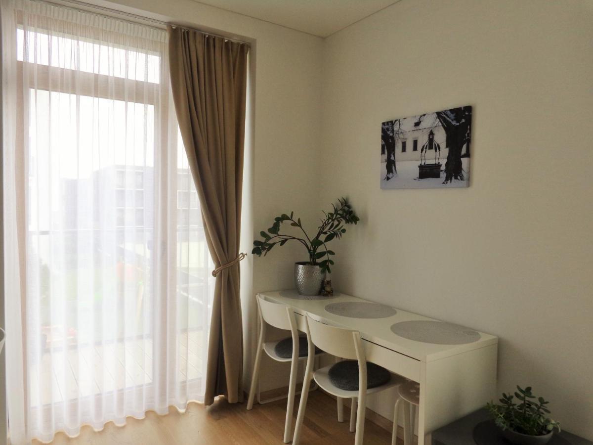 Elzbietos Centro Apartamentai VNO Kültér fotó