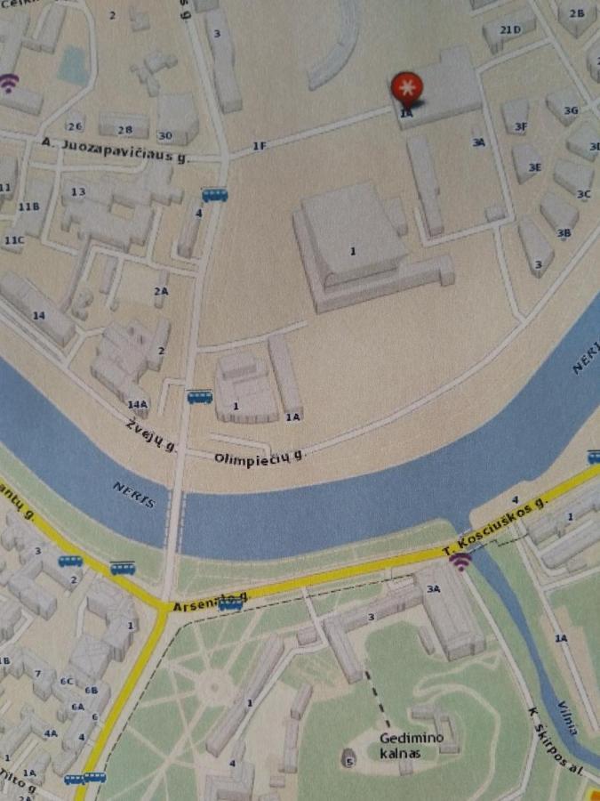Elzbietos Centro Apartamentai VNO Kültér fotó